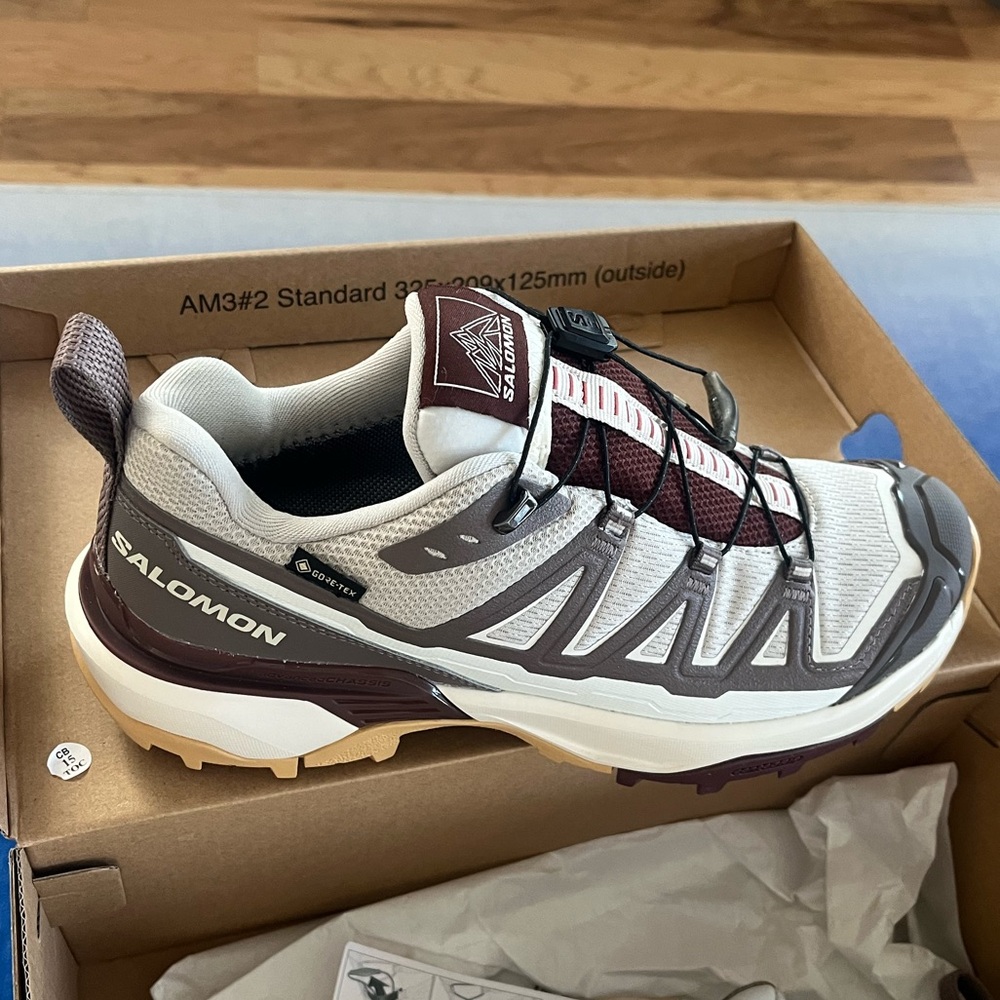 Salomon shoes